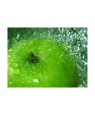 Fototapetas  Green apple