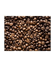 Fototapetas  Roasted coffee beans