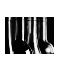 Fototapetas  Wine bottles