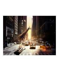 Fototapetas  Giraffe in the big city