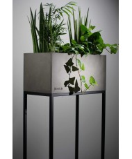 Vazonas augalams - Loft Fiorino 42x22x80cm
