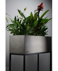 Vazonas augalams - Loft Fiorino 62x22x50cm
