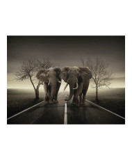 Fototapetas  City of elephants
