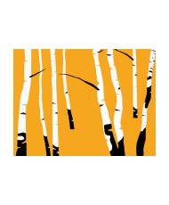 Fototapetas  Birches on the orange background