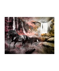 Fototapetas  Black horse by a waterfall