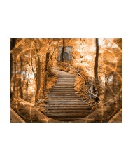 Fototapetas  Stairs to paradise