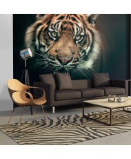 Fototapetas  Bengal Tiger