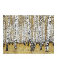 Fototapetas  Autumnal birch forest