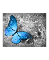 Fototapetas  Blue butterfly