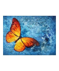 Fototapetas  Fiery butterfly