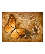 Fototapetas  butterfly (sepia)