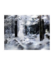 Fototapetas  Winter forest