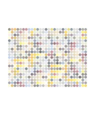 Fototapetas  Colored polka dots