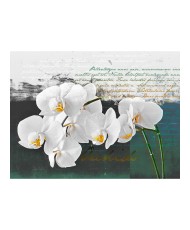 Fototapetas  Orchid  poets inspiration
