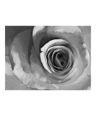 Fototapetas  Paper rose