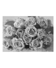 Fototapetas  A dozen roses