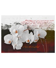 Fototapetas  Diary and orchid