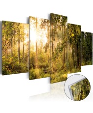 Akrilo stiklo paveikslas  Magic of Forest [Glass]