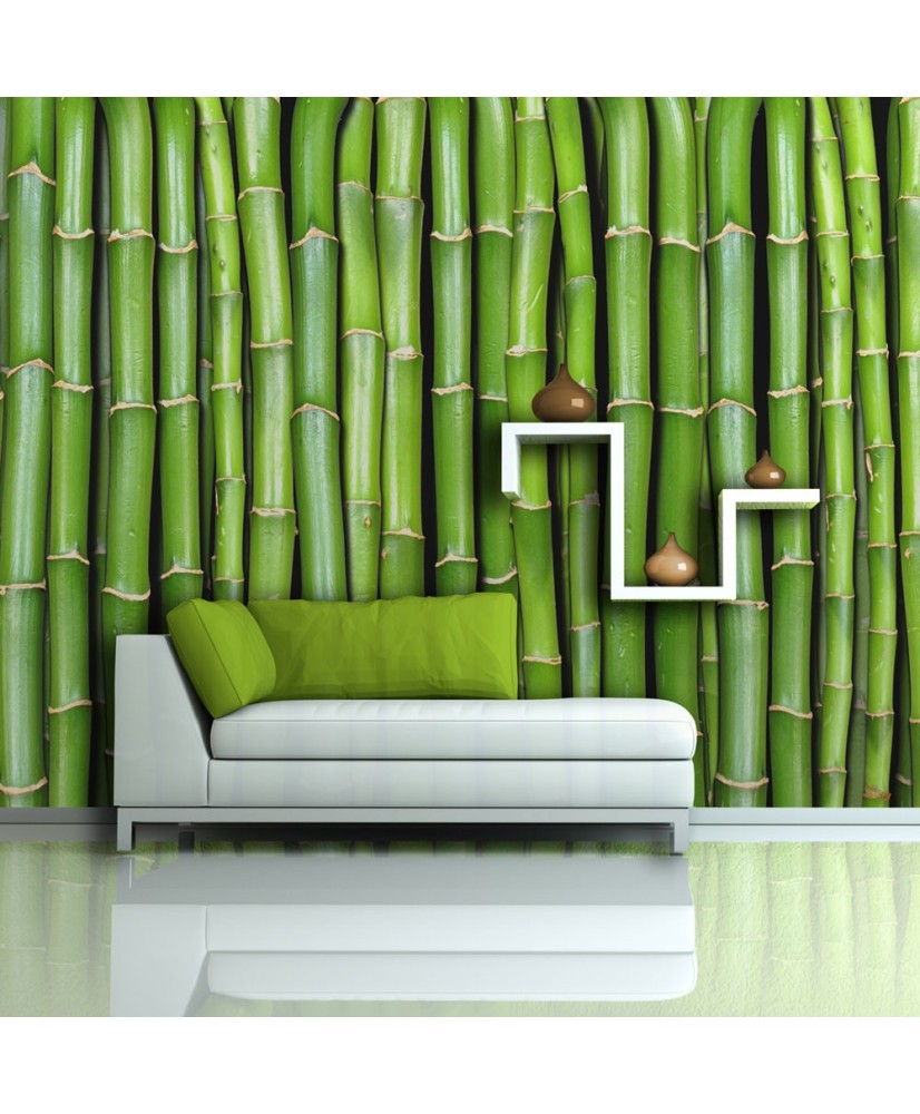 Fototapetas  Bamboo wall