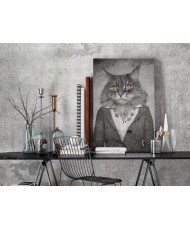 Pasidaryk pats  paveikslas ant drobės  Elegant Cat