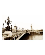 Fototapetas  Alexander III Bridge, Paris