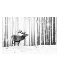 Fototapetas  Deer in the Snow (Black and White)