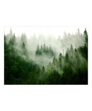 Lipnus fototapetas  Mountain Forest (Green)