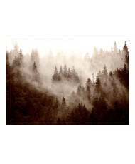 Lipnus fototapetas  Mountain Forest (Sepia)