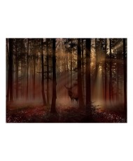 Lipnus fototapetas  Mystical Forest  First Variant
