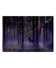 Lipnus fototapetas  Mystical Forest  Second Variant