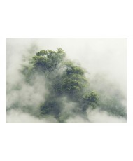 Lipnus fototapetas  Foggy Amazon
