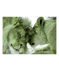Lipnus fototapetas  Lion Tenderness (Green)