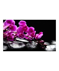 Fototapetas  Relaxing moment orchid flower and stones