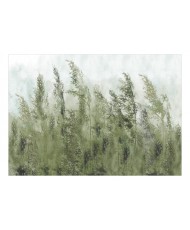 Lipnus fototapetas  Tall Grasses  Green
