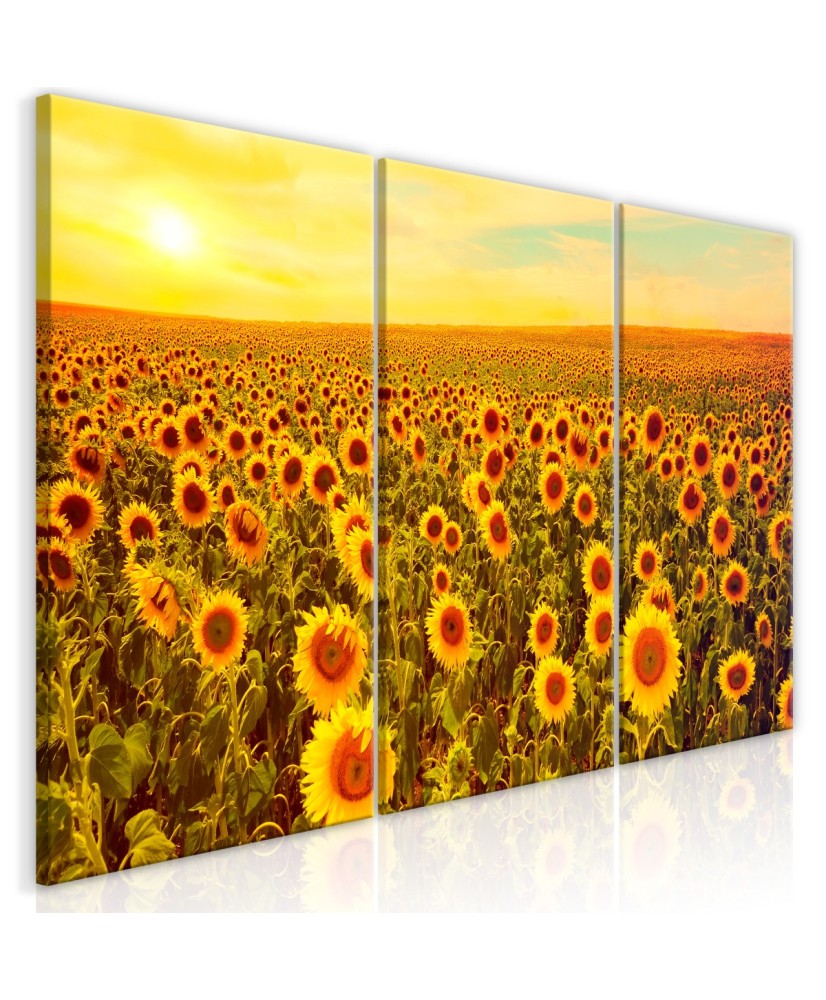 Paveikslas  Sunflowers at Sunset (3 Parts)