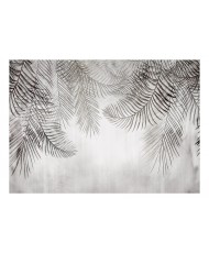 Lipnus fototapetas  Night Palm Trees