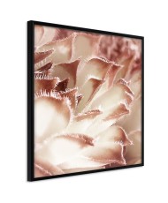 Plakatas  Floral Calyx