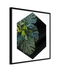 Plakatas  Cell of Jungle