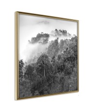 Plakatas  Foggy Forest