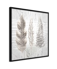 Plakatas  Three Species