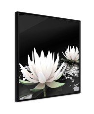 Plakatas  Calm on the Water