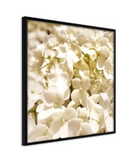 Plakatas  Soothing Flowers