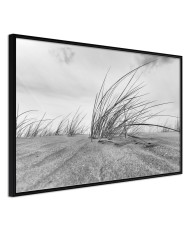 Plakatas  Seaside Dunes
