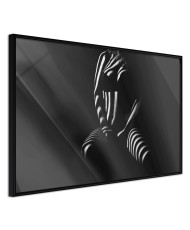 Plakatas  Blinds Shadow