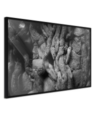 Plakatas  Strong Roots