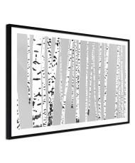 Plakatas  Birch Wood