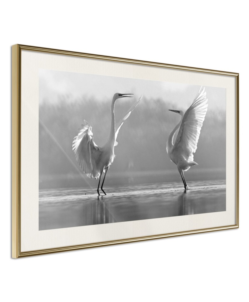 Plakatas  Black and White Herons