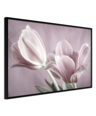 Plakatas  Pastel Tulips I