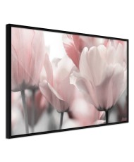 Plakatas  Pastel Tulips II
