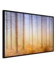 Plakatas  Fog or Smoke?